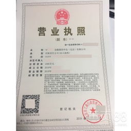 北京金融外包服務(wù) 專業(yè)化驅(qū)動下的行業(yè)變革與機(jī)遇